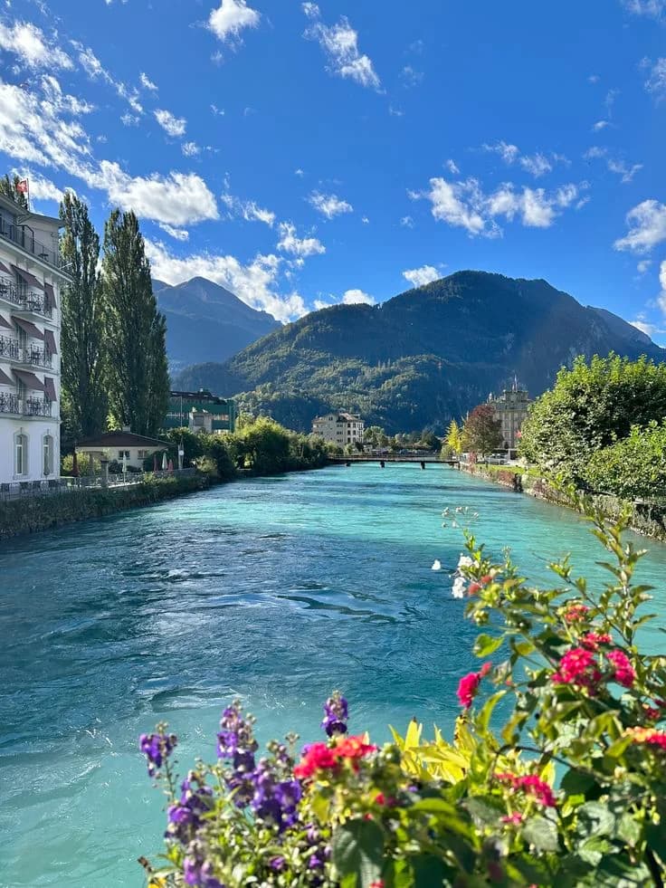 Swiss Alpine Haven & Chalets